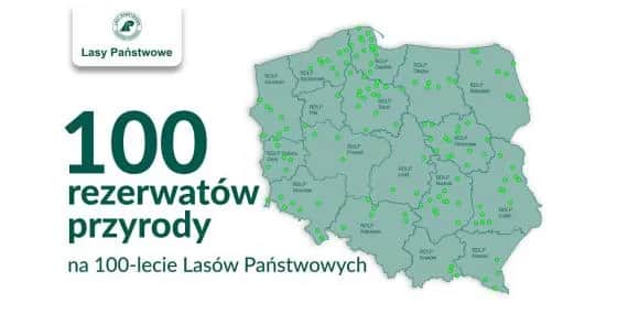 Ile jest rezerwatów przyrody w Polsce? Zaskakująca liczba!