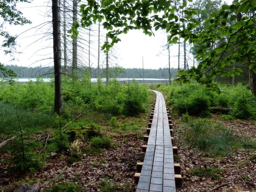 Rezerwat przyrody Kurze Grzędy - odkryj jego niezwykłe atrakcje