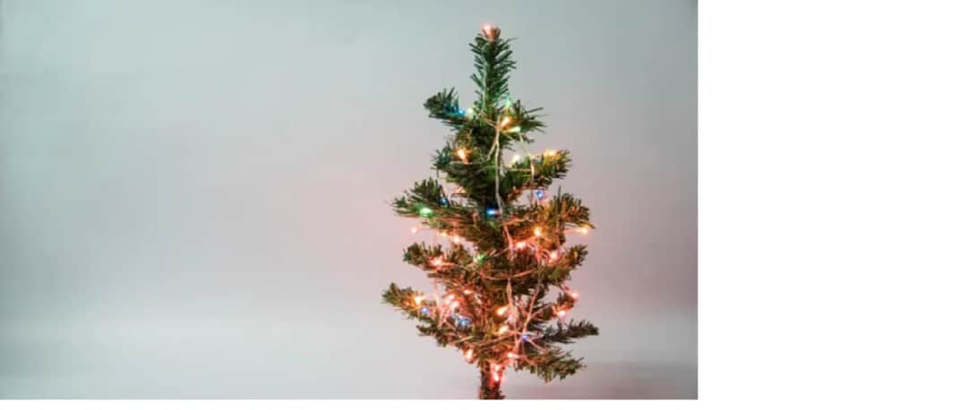 Gdzie wyrzucić sztuczną choinkę? Sprawdź najlepsze opcje utylizacji