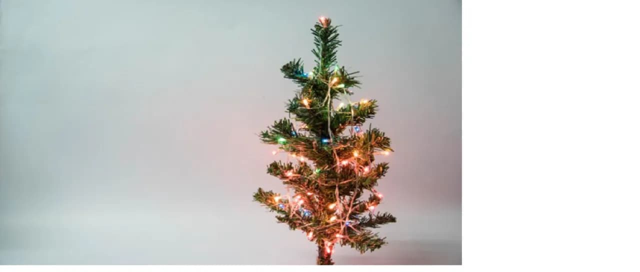 Gdzie wyrzucić sztuczną choinkę? Sprawdź najlepsze opcje utylizacji