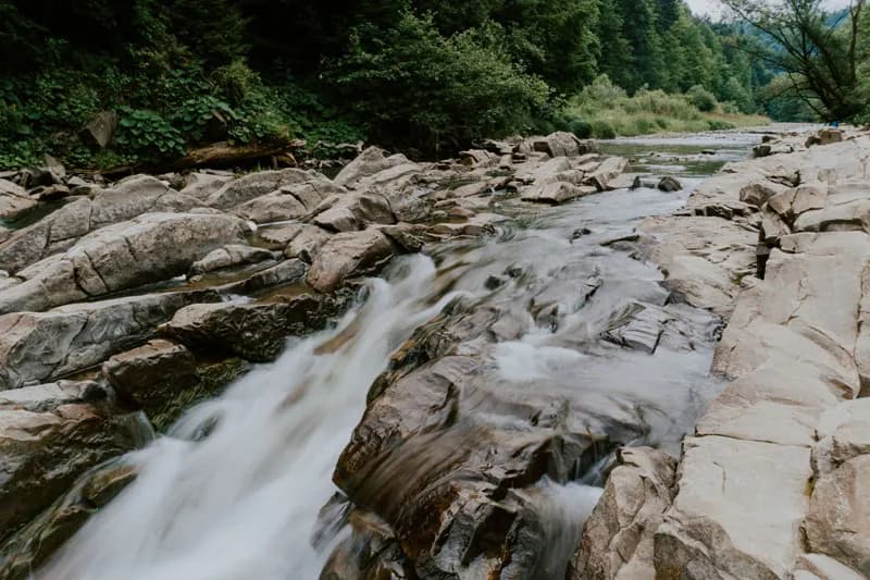 Rezerwat przyrody Sine Wiry - odkryj ukryte skarby Bieszczad