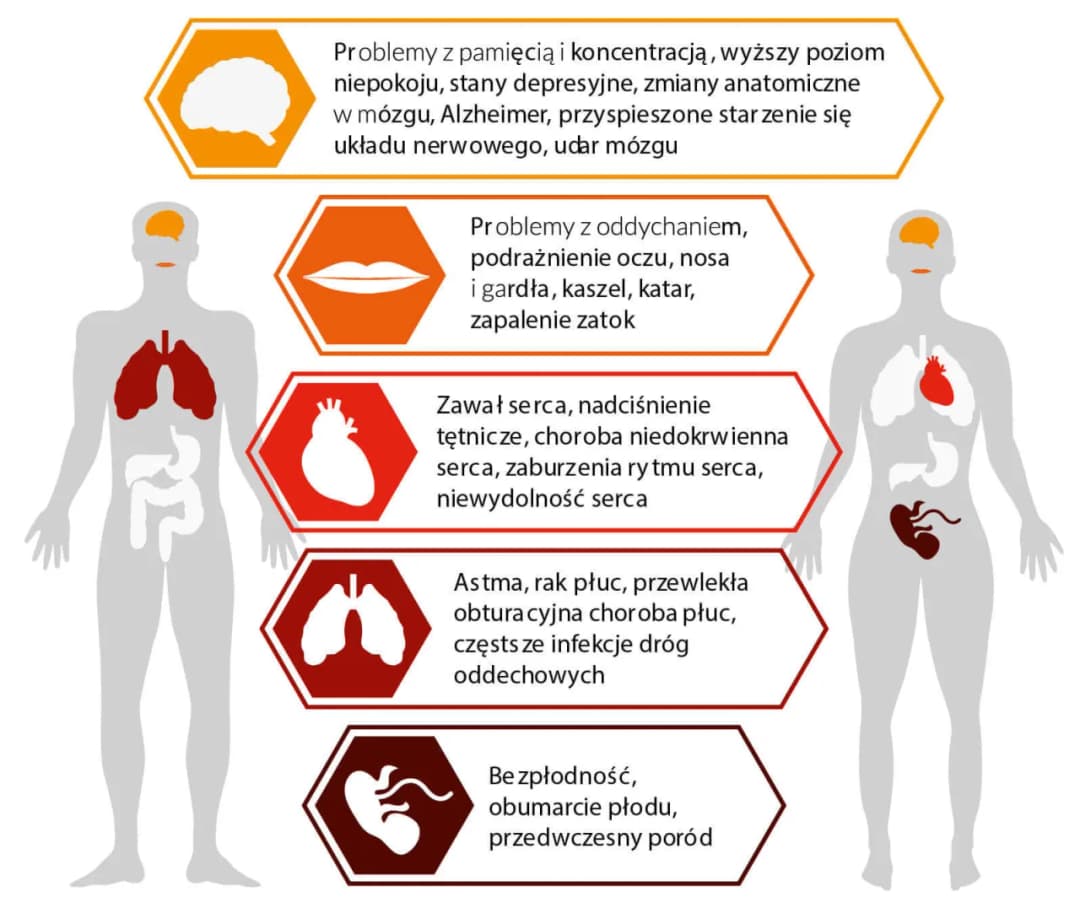 Co to znaczy smog i jak wpływa na zdrowie oraz środowisko