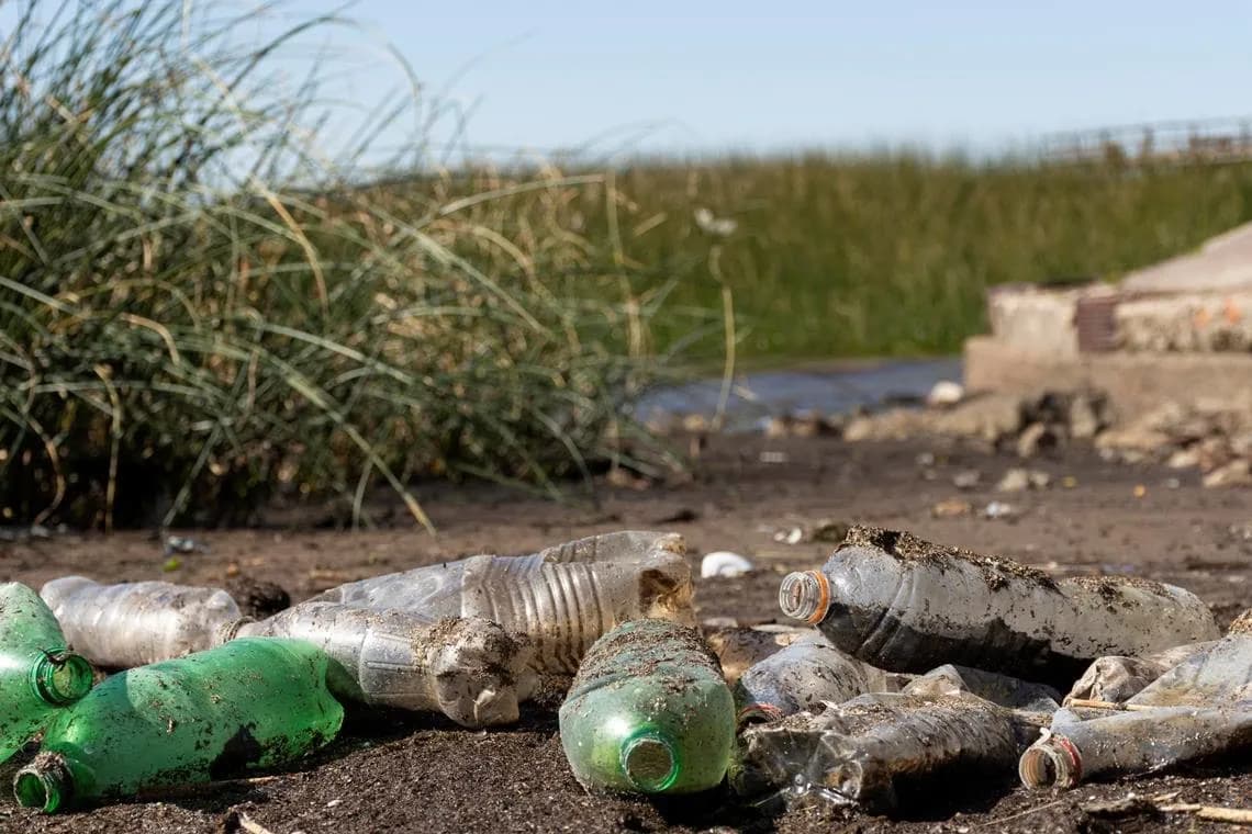 Jak długo rozkładają się śmieci? Czas biodegradacji różnych odpadów