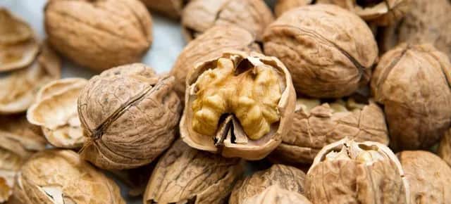 Gdzie wyrzucić orzechy włoskie? Odpowiedzialna utylizacja odpadów