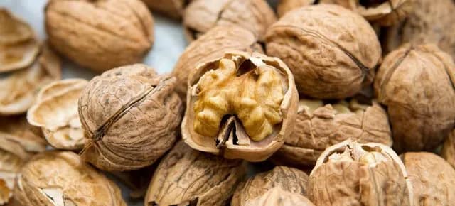 Gdzie wyrzucić orzechy włoskie? Odpowiedzialna utylizacja odpadów