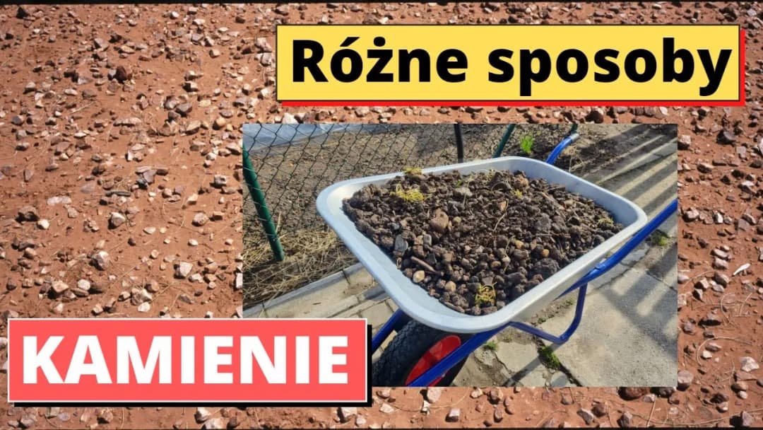 Gdzie wyrzucić kamienie? Poznaj najlepsze sposoby na utylizację
