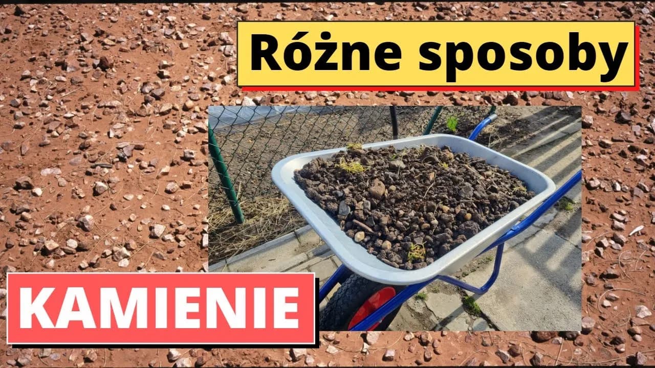 Gdzie wyrzucić kamienie? Poznaj najlepsze sposoby na utylizację