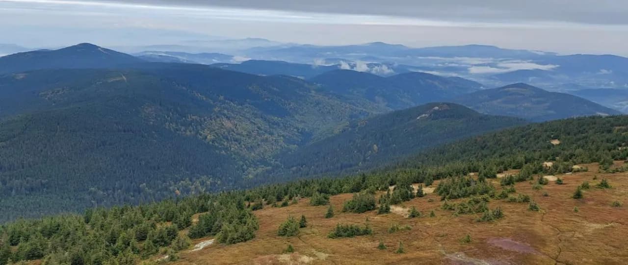 Rezerwat przyrody Śnieżnik Kłodzki - odkryj jego niezwykłe tajemnice