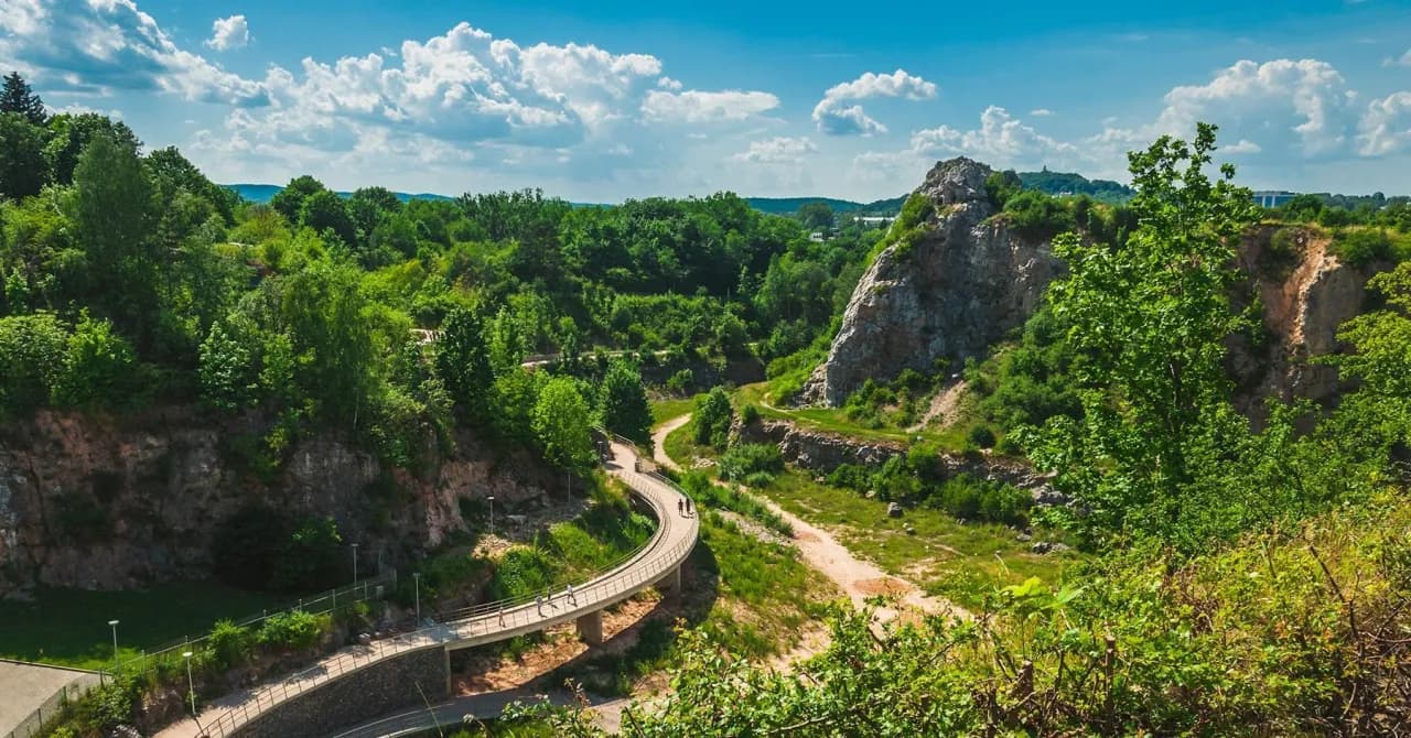 Rezerwaty przyrody w Polsce: Odkryj ich znaczenie i różnorodność