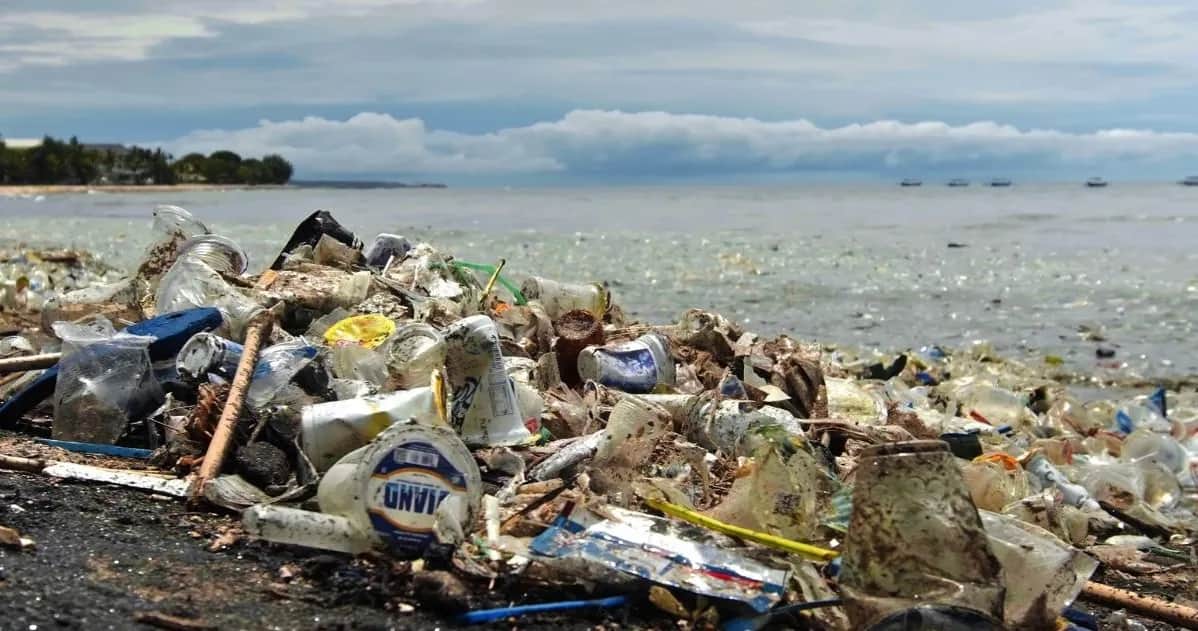 Dlaczego Morze Bałtyckie jest zanieczyszczone i jakie są tego skutki?