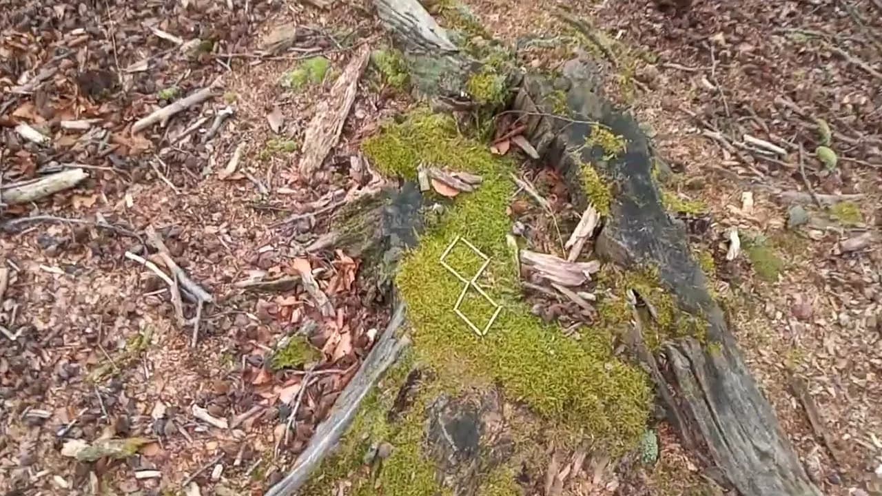 Rezerwat przyrody Łazy - odkryj niezwykłe atrakcje i piękno natury