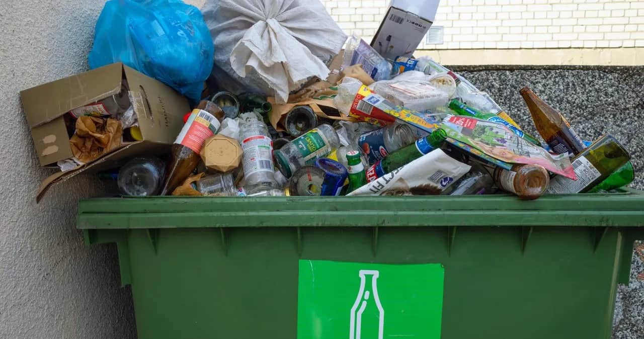 Jakie kary za niesegregowanie śmieci? Sprawdź, co grozi za brak segregacji