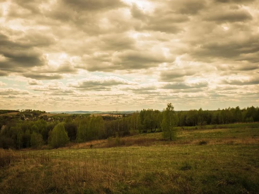 Rezerwaty przyrody Podkarpacie - odkryj niezwykłe miejsca i atrakcje